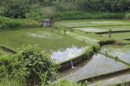 …i wymaga mistrzowskiego gospodarowania wodą...
